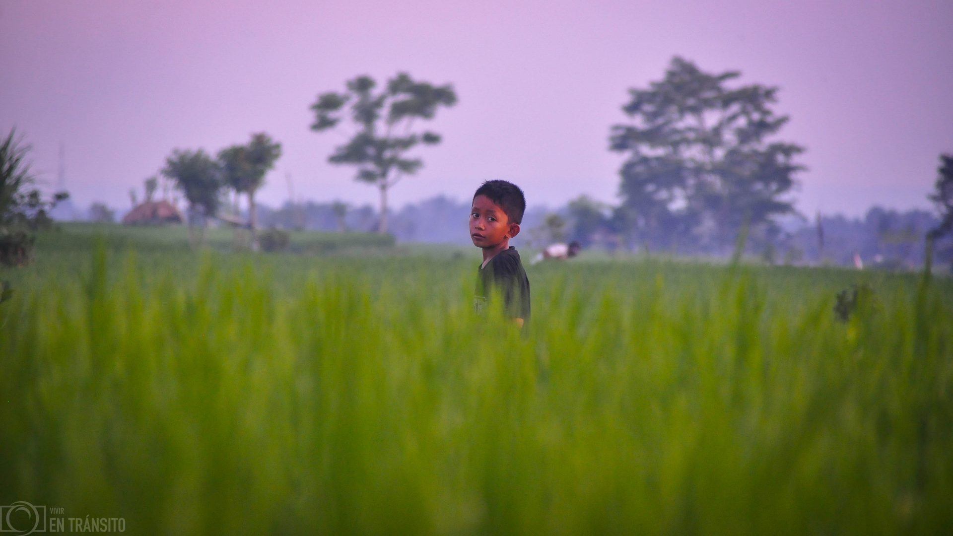 Niño arrozales Bali