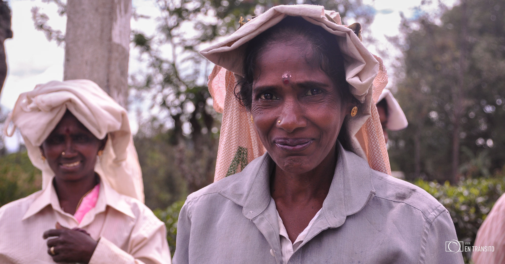 Cosechadoras_te_Sri_Lanka