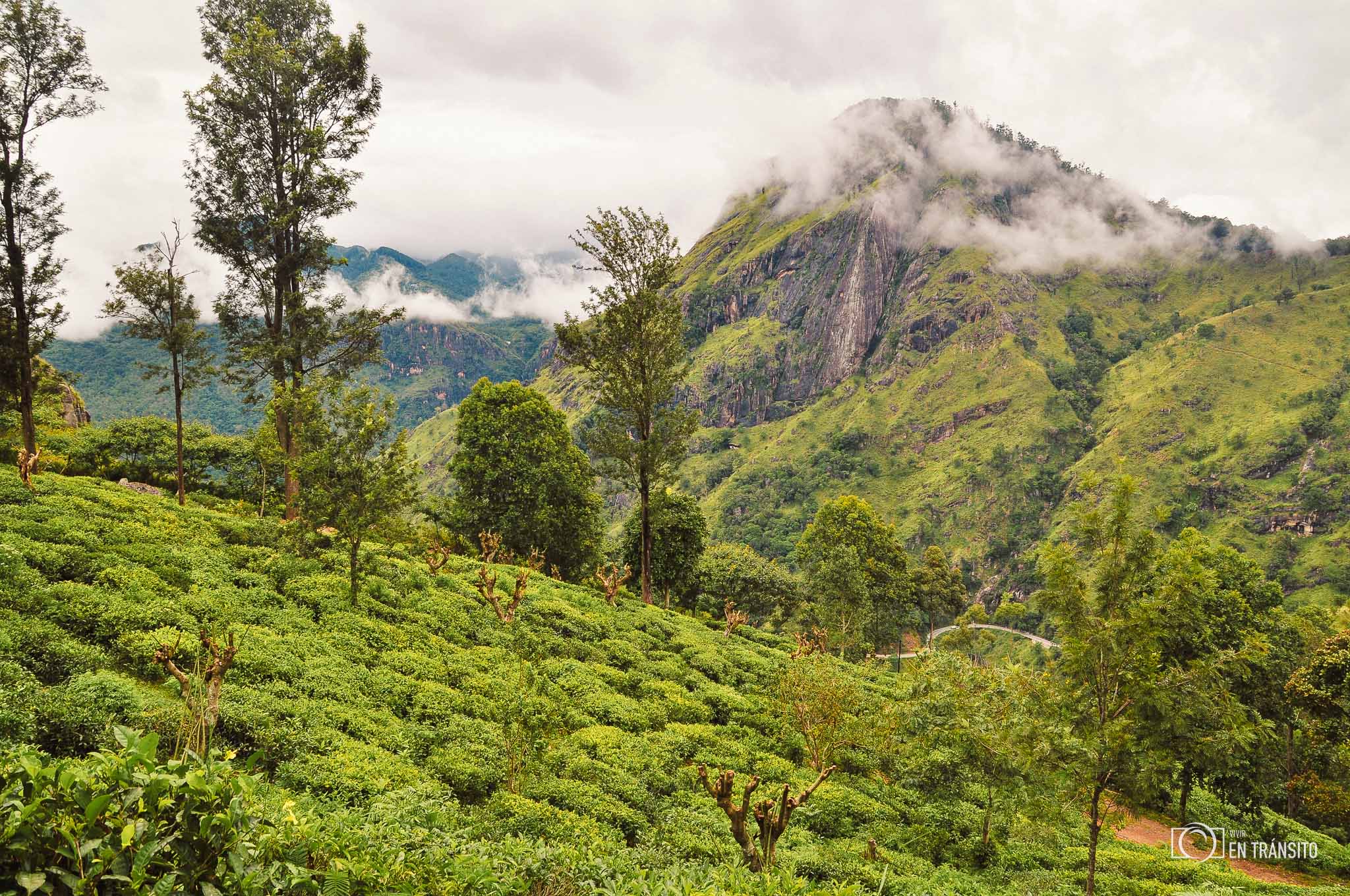Montañas_Sri_Lanka
