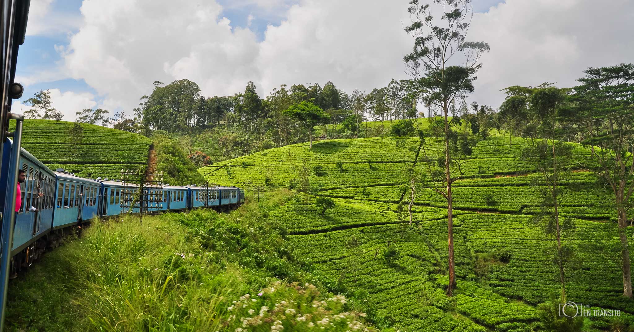 Plantación-té-Sri-Lanka